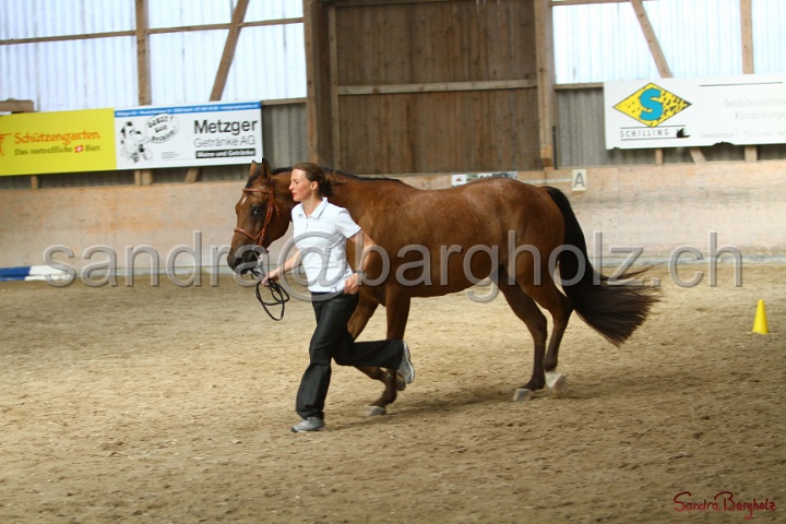24-ApHC HIH_088.jpg